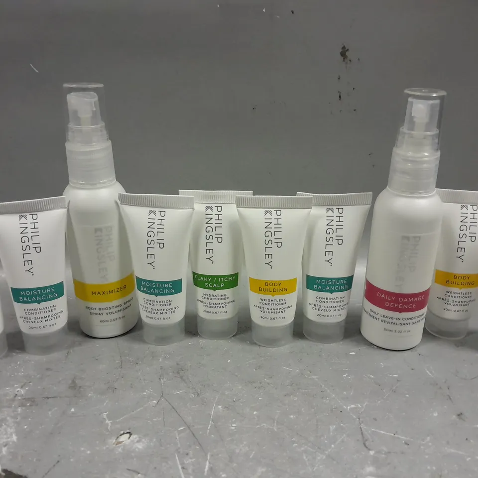 10 ASSORTED PHILIP KINGSLEY HAIRCARE PRODUCTS 