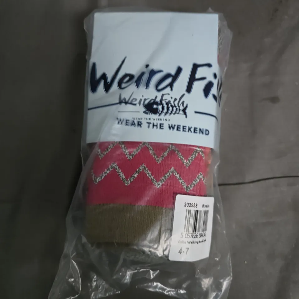 BAGGED WEIRD FISH CELIA WALKING SOCK 2 PACK - 4-7