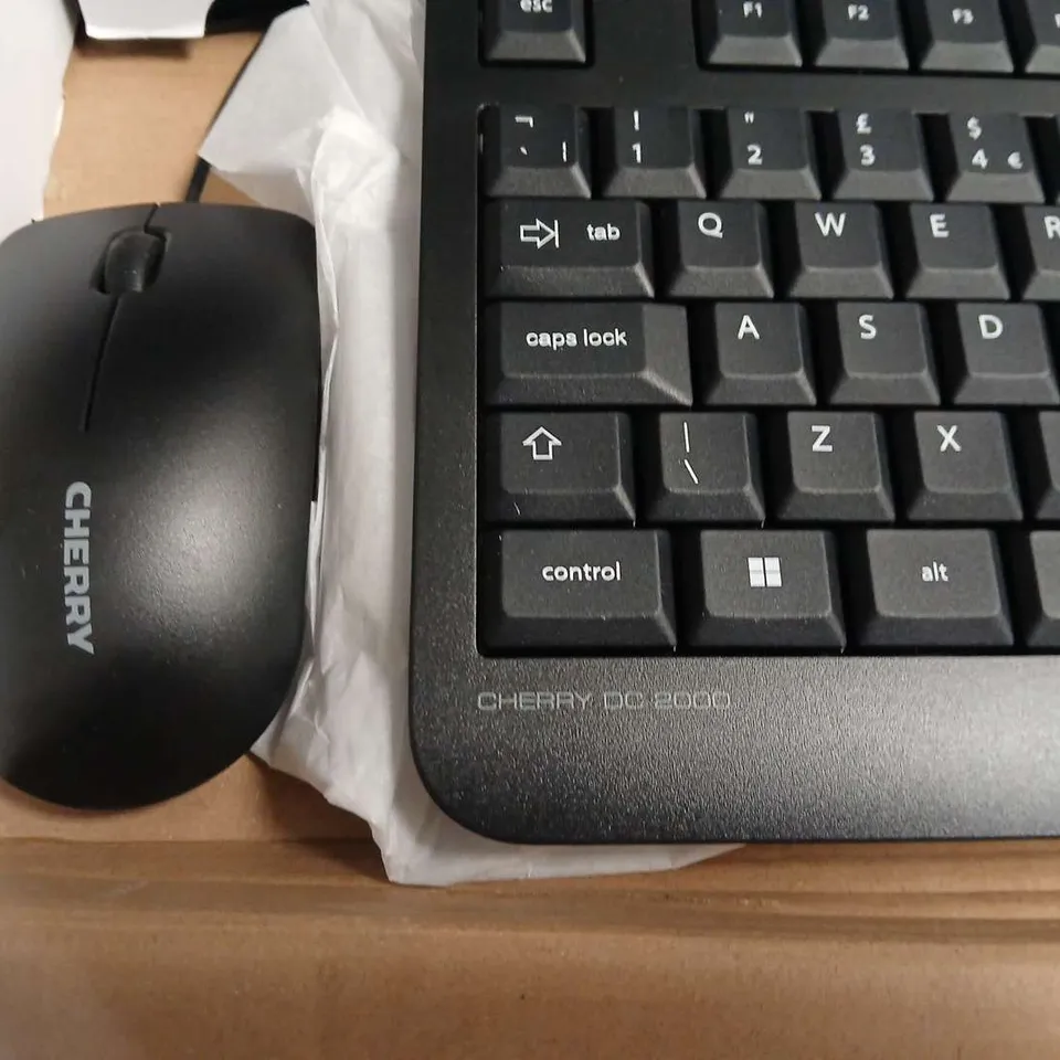 CHERRY DC 2000 KEYBOARD WITH CHERRY MOUSE 