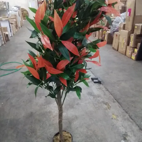 ARTIFICIAL RED AND GREEN FICUS TREE IN POT
