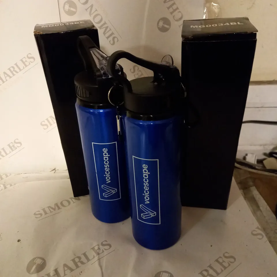 TWO BLUE VOICESCAPE WATER BOTTLES