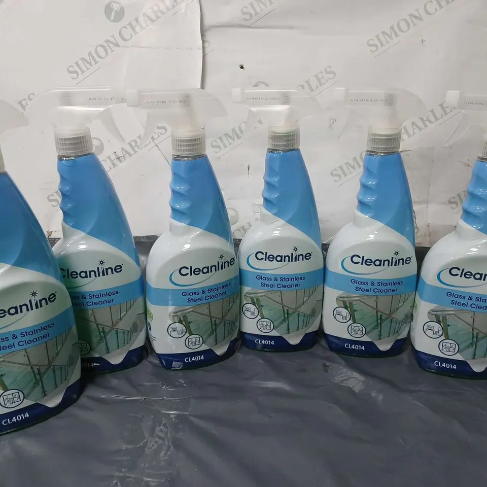 6 CLEANLINE GLASS & STAINLESS STEEL CLEANER