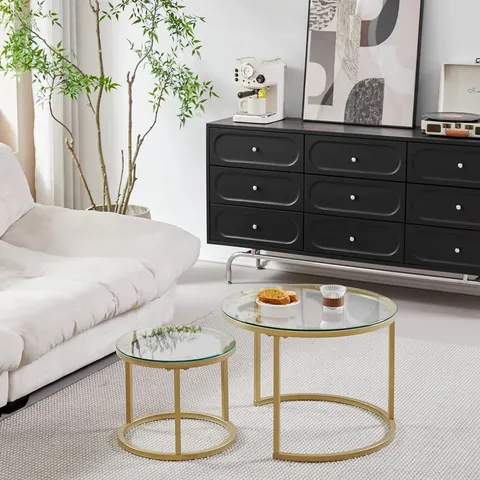 BOXED AGATHO COFFEE TABLE (SET OF 2)