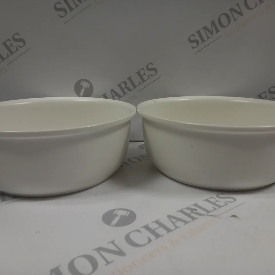 CERMAIC ELEVATED DOG BOWLS INCLUDES 2 