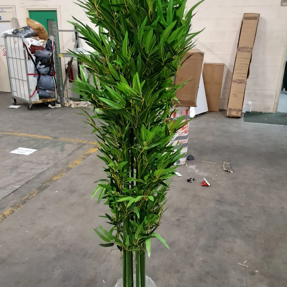 2M TALL ARTIFICIAL PLANT IN POT