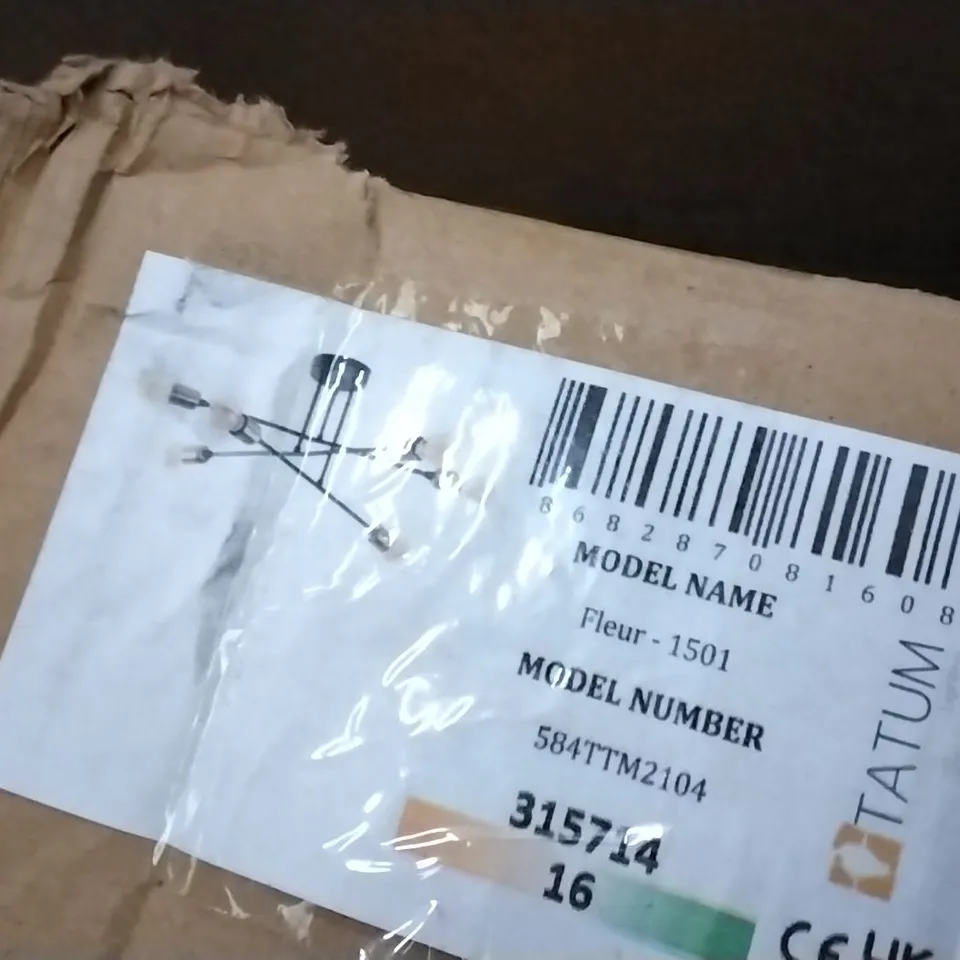 BOXED ABBY 6-LIGHT SPUTNIK CHANDELIER FIXTURE