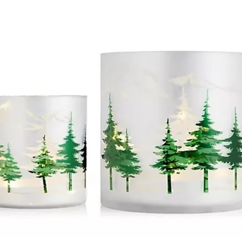 HOME REFLECTIONS SET OF 2 FROSTED GLASS HURRICANE WITH LED LIGHT