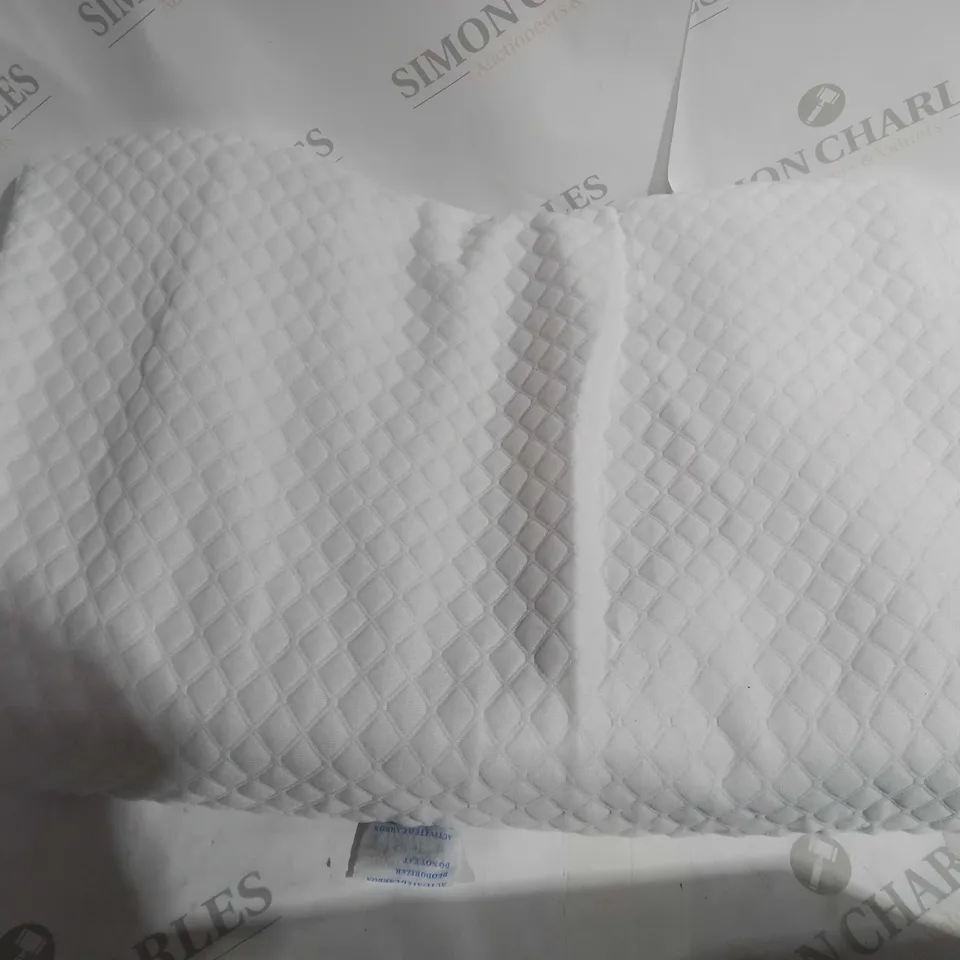 BXED THE ORIGIAL GROOVE PILLOW