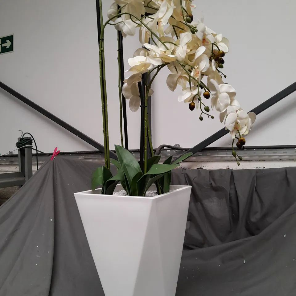 BOXED JM BY JULIEN MACDONALD MULTI STEM ORCHID IN WHITE GLAZED POT-COLLECTION ONLY