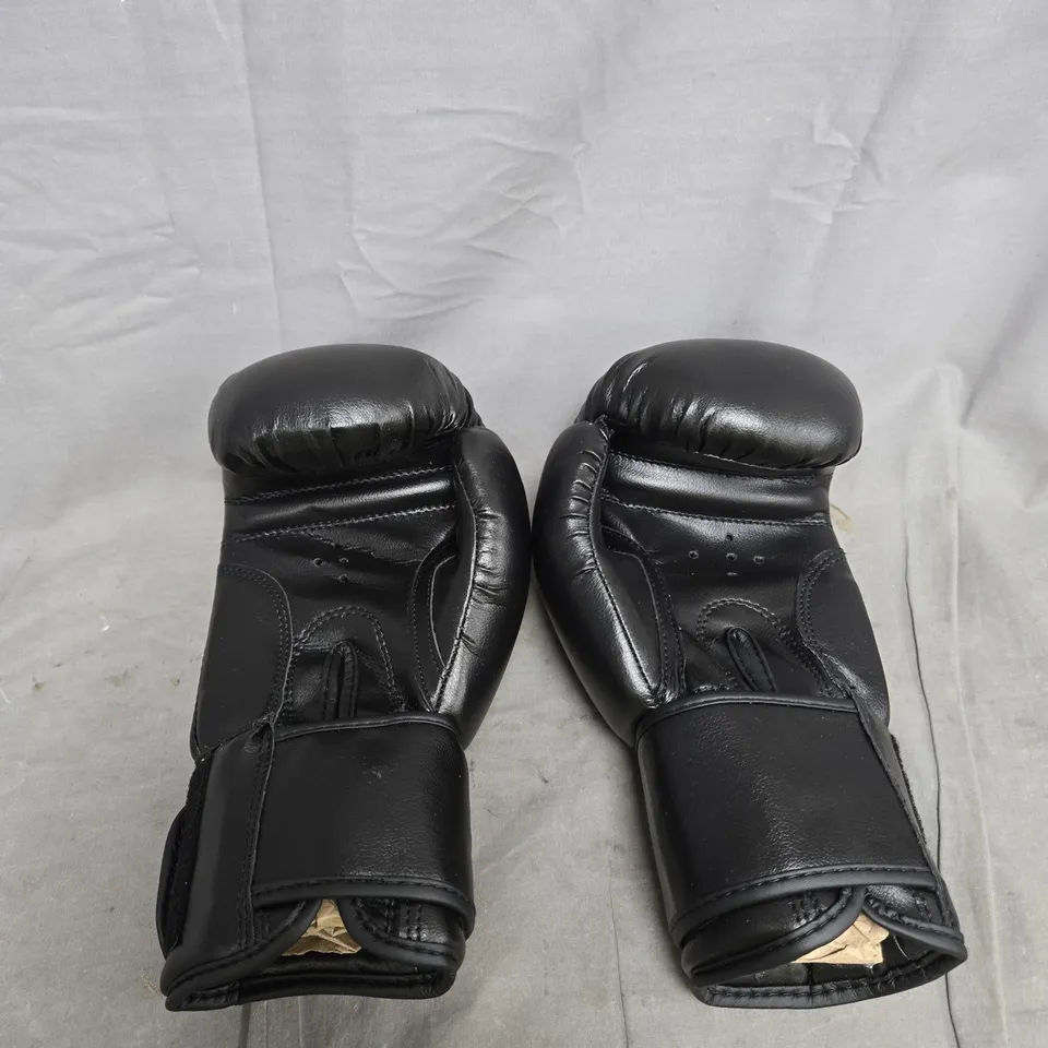 LIONS PAIR OF BOXING GLOVES BLACK 12OZ
