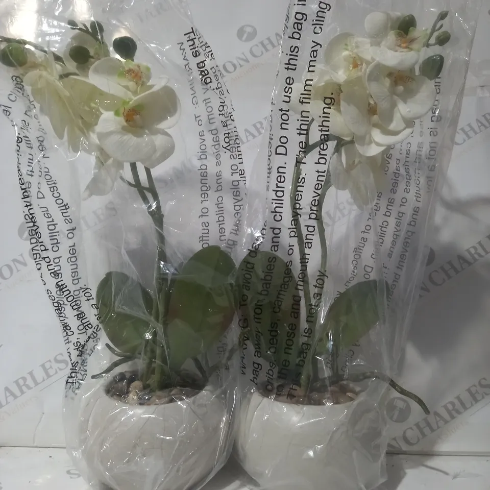 BOXED HOME REFLECTIONS SET OF TWO FAUX ORCHIDS IN WHITE
