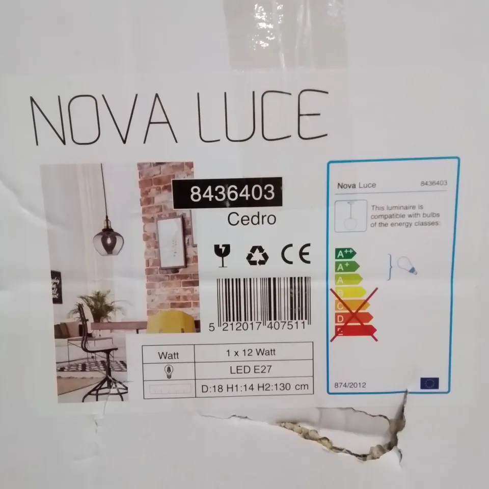 BOXED REGINALD 1 - LIGHT DOME PENDANT 