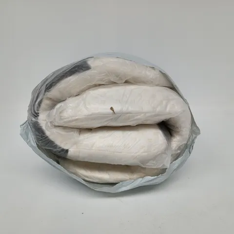SET OF 2 PILLOWS