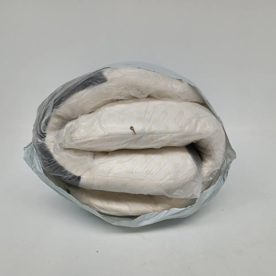 SET OF 2 PILLOWS