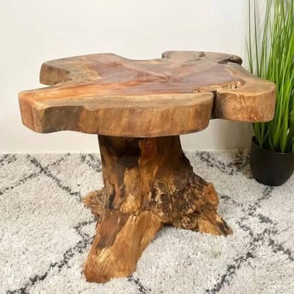 PACKAGED TAYLOR'S MUSHROOM COFFEE TABLE 
