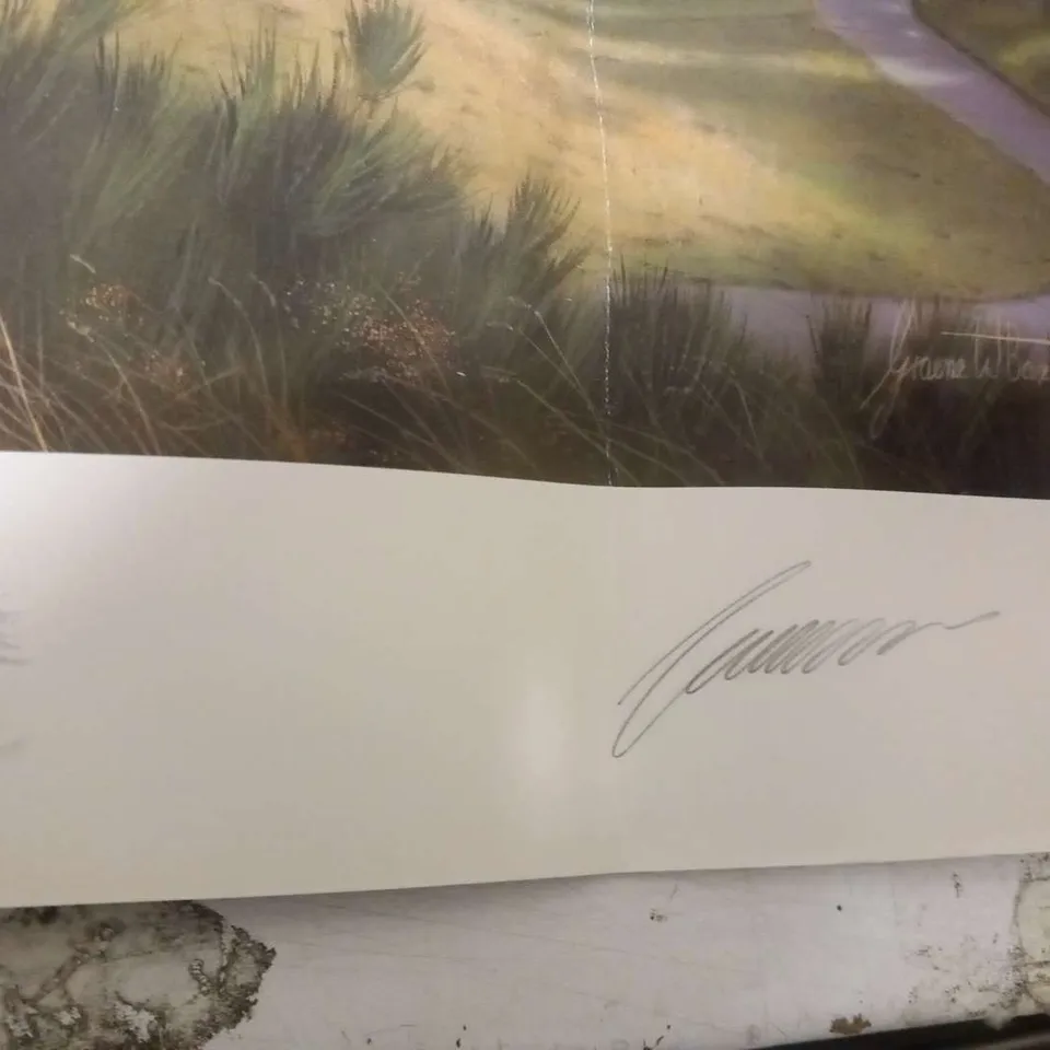 THE OFFICIAL PRINT FOR THE 2014 RYDER CUP, 2ND HOLE, THE PGA CENTENARY COURSE, GLENEAGLES BY GRAEME W. BAXTER SIGNED BY THE ARTIST AND PAUL MCGINLEY, EUROPEAN TEAM CAPTAIN #406/1250