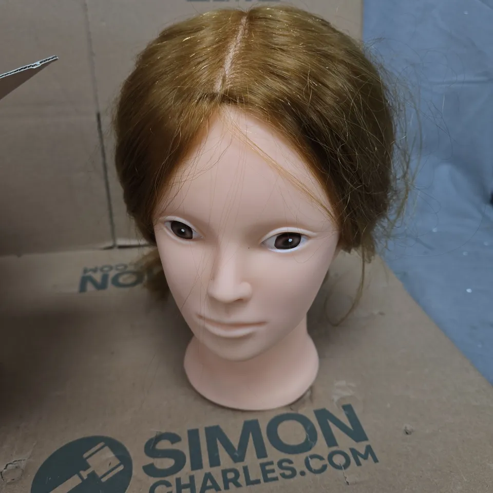 DAIZYSIGHT BEAUTY TRAINING HEAD