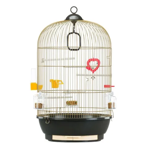 BOXED 65CM HANGING BIRD CAGE WITH PERCH