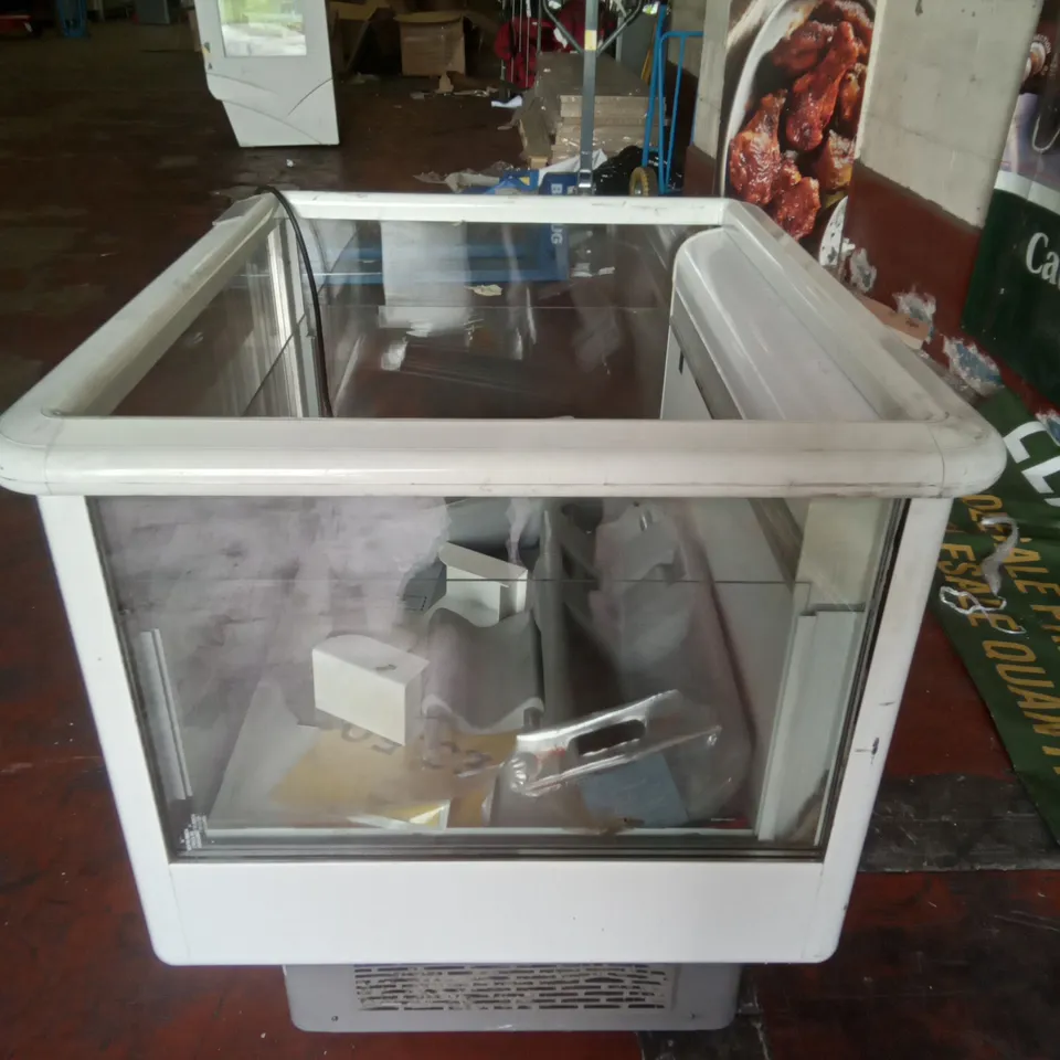 CARRIER SELF SERVE FREEZER 