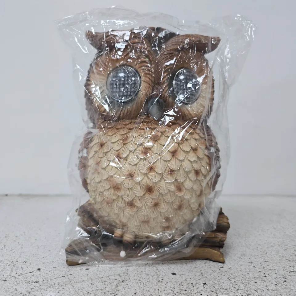 BOXED SMART SOLAR BLINKIN' OWL