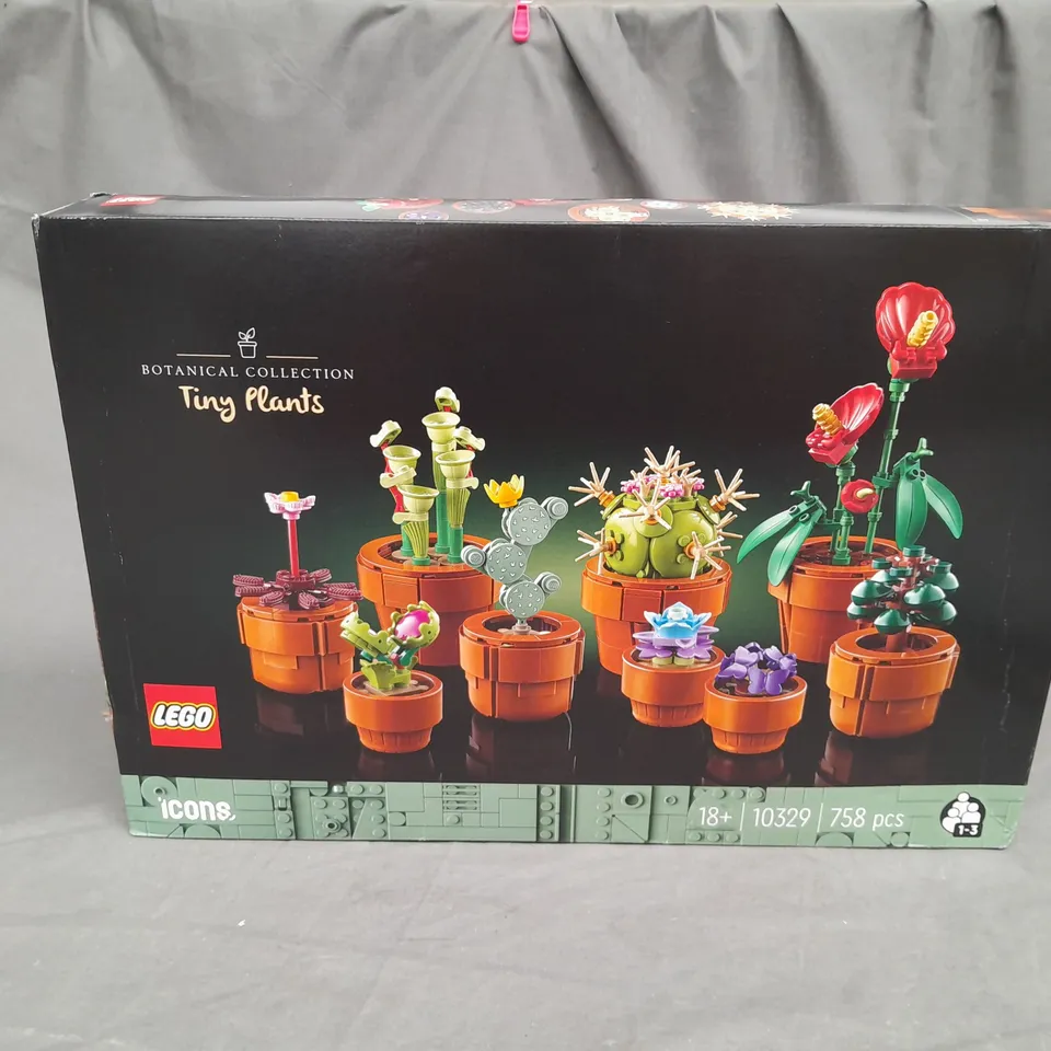 BOXED BOTANICAL COLLECTION TINY PLANTS - 10329