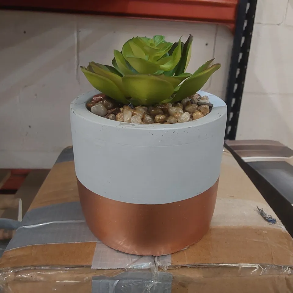 BOXED ARTIFICIAL SUCCULENT 