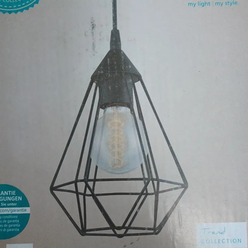 BOXED NORDEN HOME DAILEY BLACK 1-LIGHT GEOMETRIC CEILING PENDANT