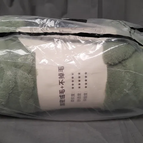 UNBRANDED TEDDY FLEECE BLANKET IN GREEN