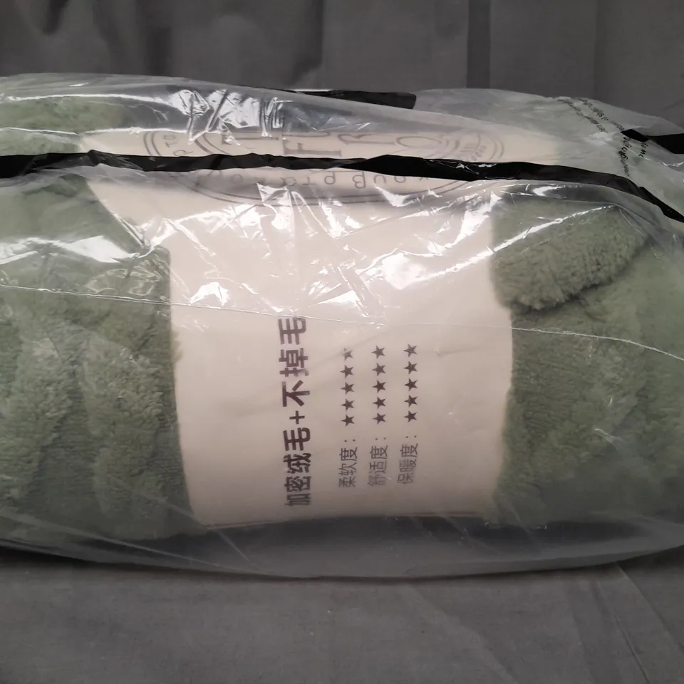 UNBRANDED TEDDY FLEECE BLANKET IN GREEN