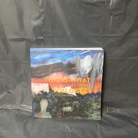 THIS IS WHAT YOU GET: STANLEY DONWOOD | RADIOHEAD | THOM YORKE PAPERBACK 