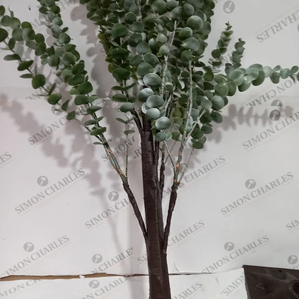 SARA DAVIES PRE-LIT INDOOR OUTDOOR EUCALYPTUS TREE - COLLECTION ONLY