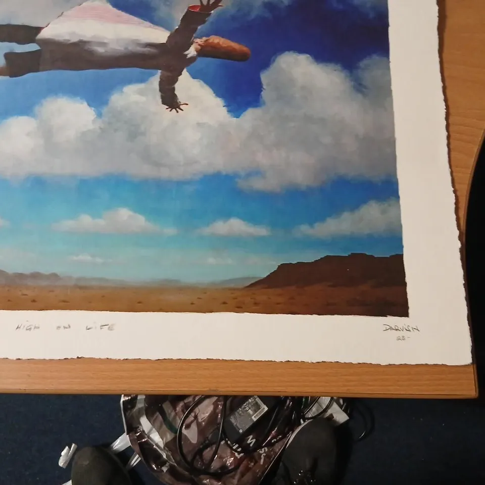 DARVISH 'HIGH ON LIFE' SIGNED PRINT 61 X 43CM
