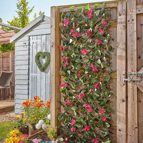 SMART GARDEN BOUGAINVILLEA TRELLIS
