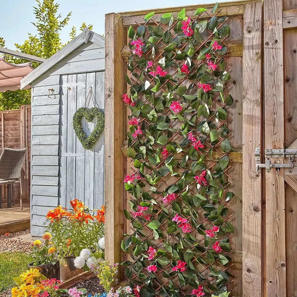 SMART GARDEN BOUGAINVILLEA TRELLIS