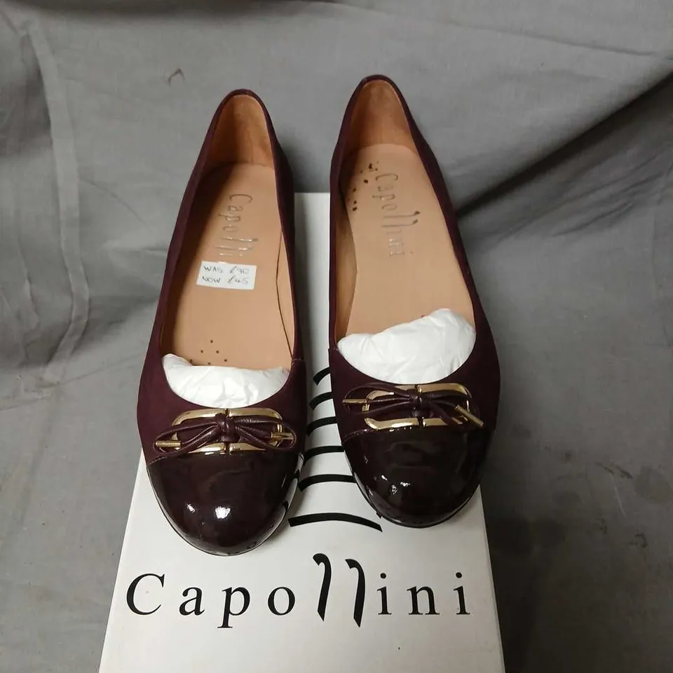 CAPOLLINI ALESSA BORDO BURGUNDY PATENT BALLET FLATS – UK 3.5 (EU 36.5)