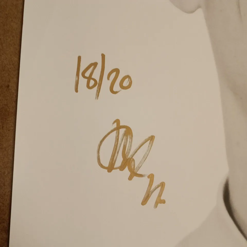 SIGNED LIMITED EDITION VIKTOR AXELSEN PRINT