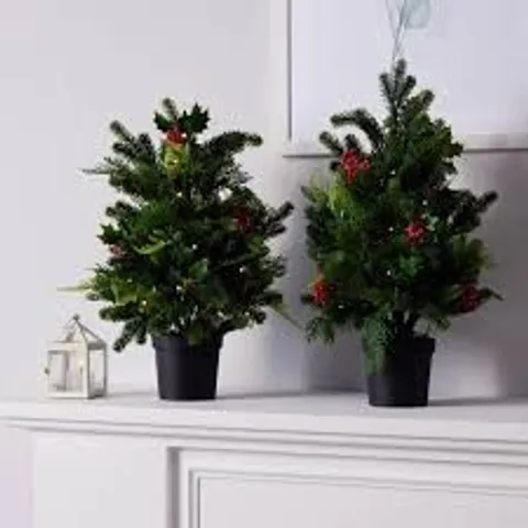 GARDEM REFLECTIONS 'DRESS YOUR DOOR COLLECTION' 2X 60CM WITH PRE LIT OUTDOOR TREES