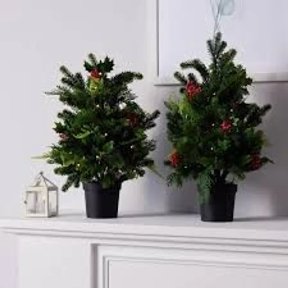 GARDEM REFLECTIONS 'DRESS YOUR DOOR COLLECTION' 2X 60CM WITH PRE LIT OUTDOOR TREES