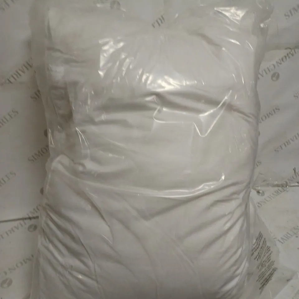 NORTHERN NIGHTS SET OF PUR FEATHER PILLOWS WITH GUSSET (MEDIUM)