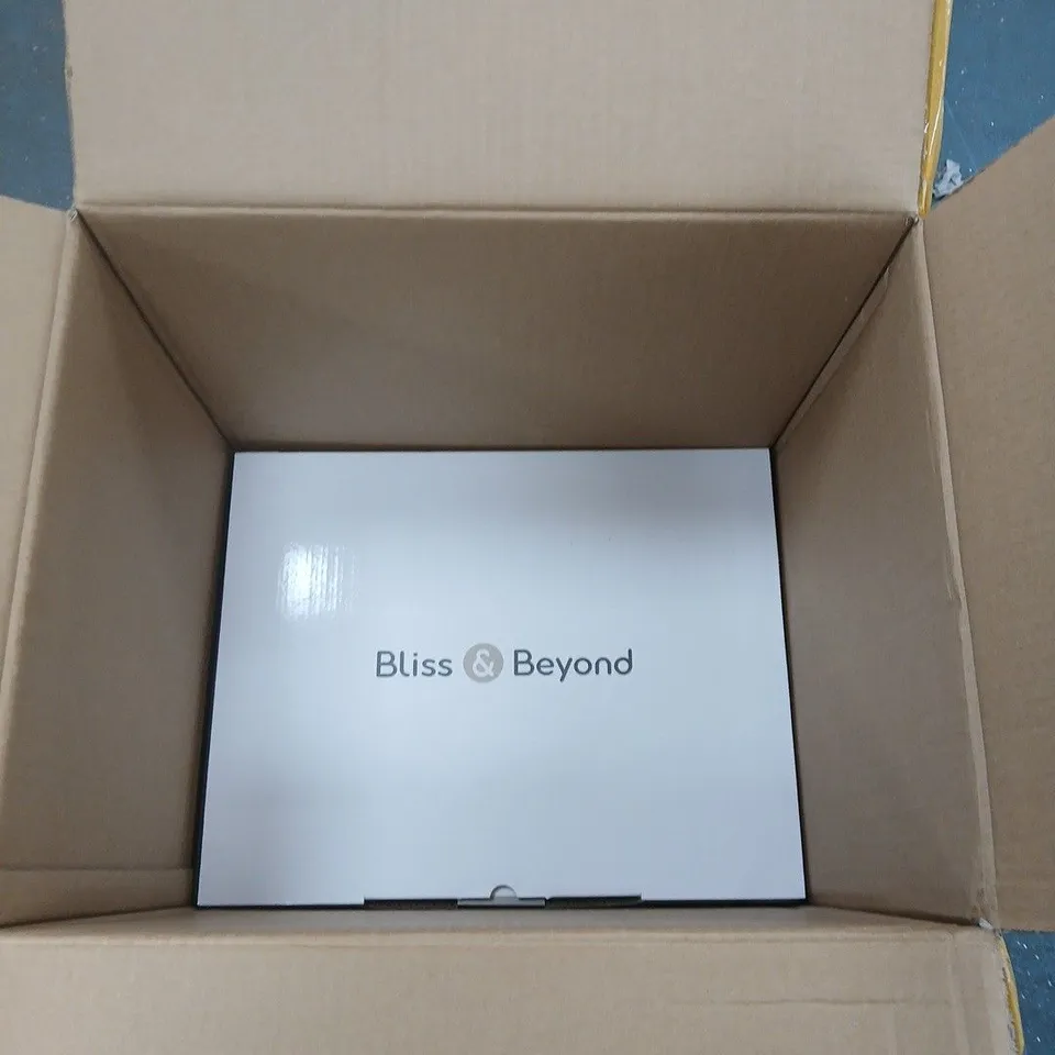 BOX OF 2 BLISS & BEYOND HIGH PRESSURE STEAM CLEANERS