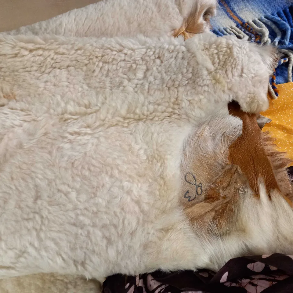 LOT OF 5 ASSORTED HOME FABRIC ITEMS TO INCLUDE SHEEPSKIN RUG 