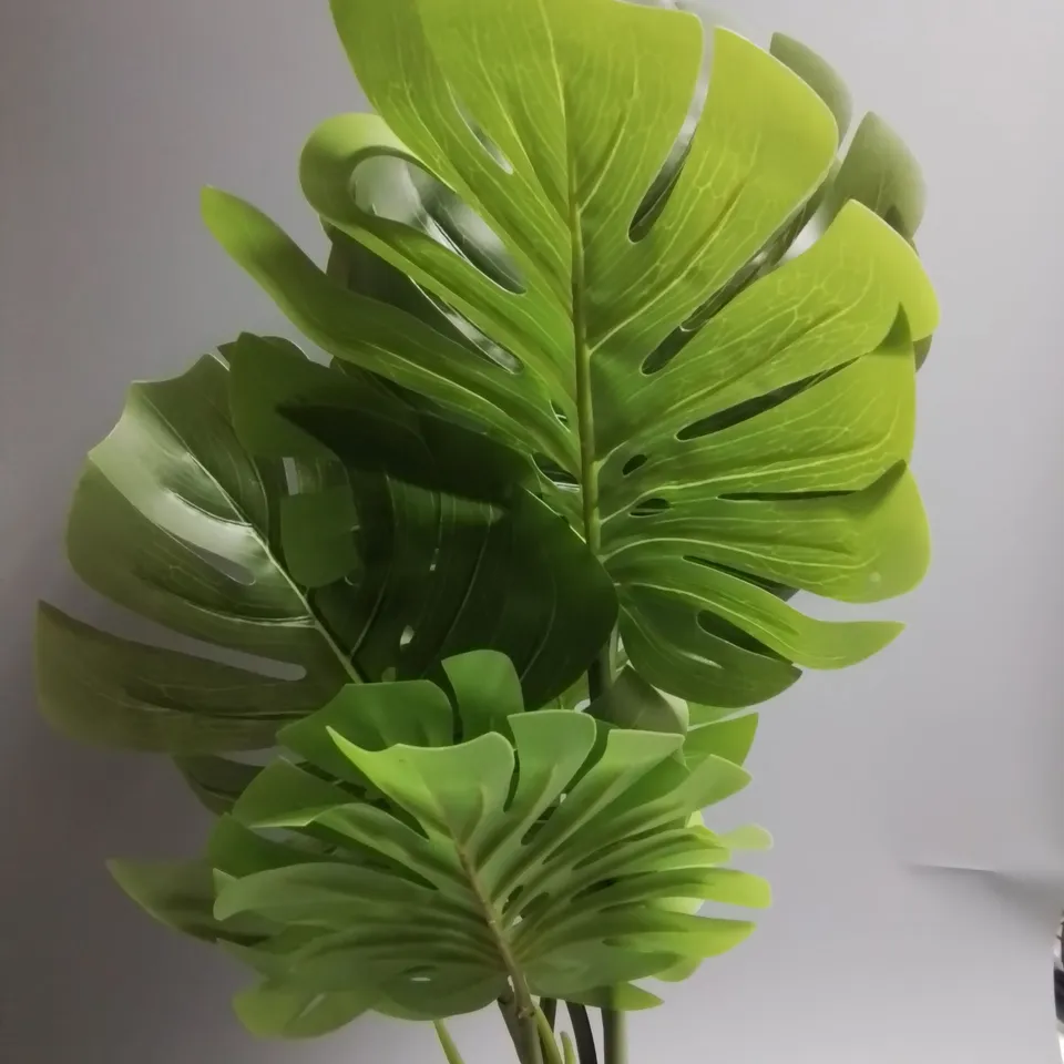 FAUX CHEESE PLANT IN WICKER PLANT POT