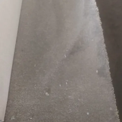 ROLL OF QUALITY FIRST IMPRESSIONS NEAT AND TIDY CARPET APPROXIMATELY 4X3.4M