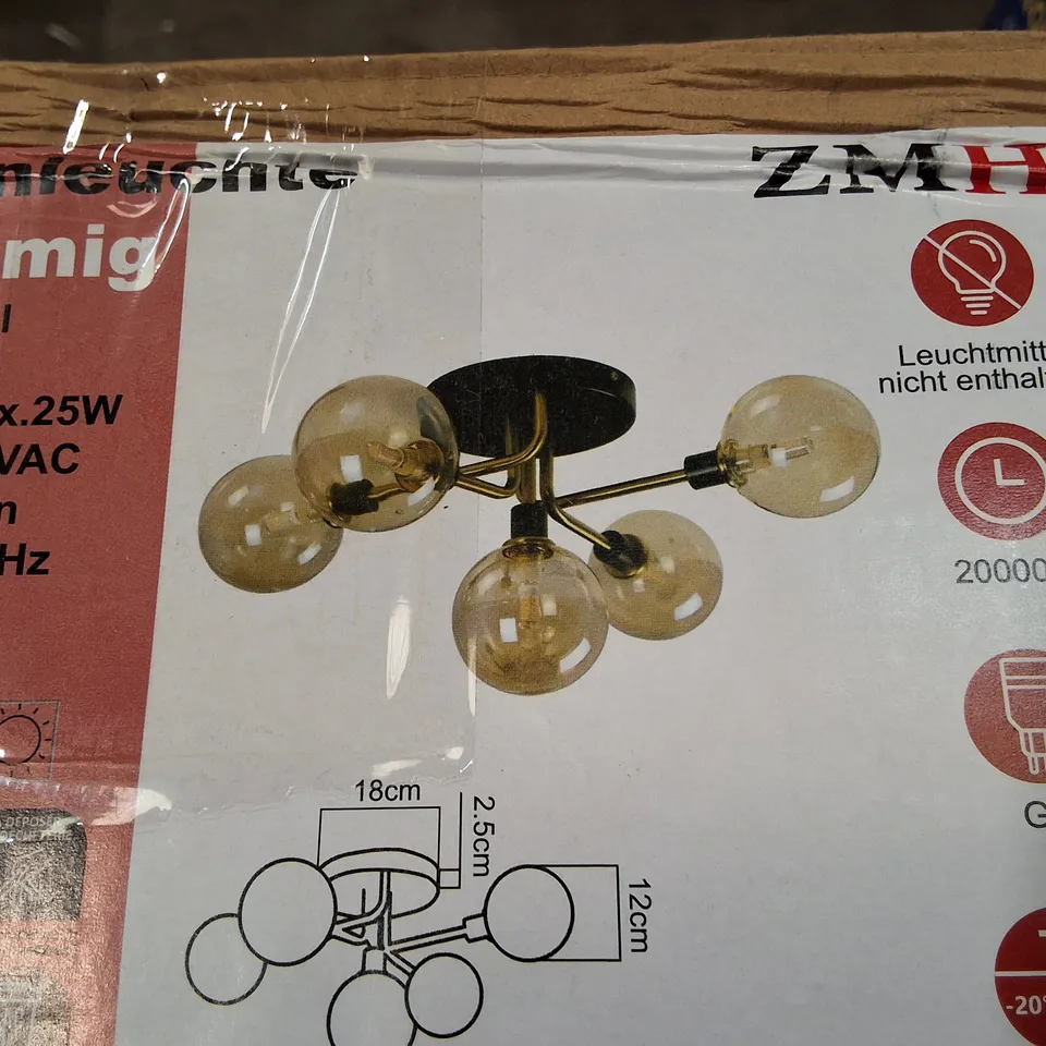 BOXED ZMH CEILING LIGHT LIVING ROOM WITH 5 BULBS GLASS BALLS