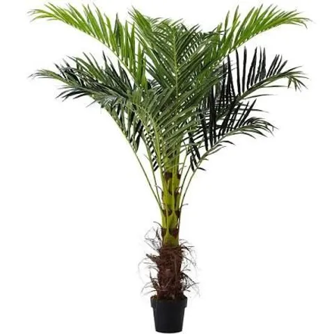 BOXED BREEINS ARTIFICIAL PLANT GREEN