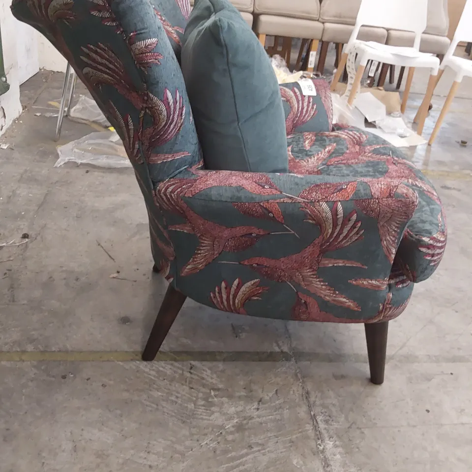 QUALITY BRITISH DESIGNER LOUNGE Co. OCCASIONAL CHAIR BIRD OF PARADISE FABRIC