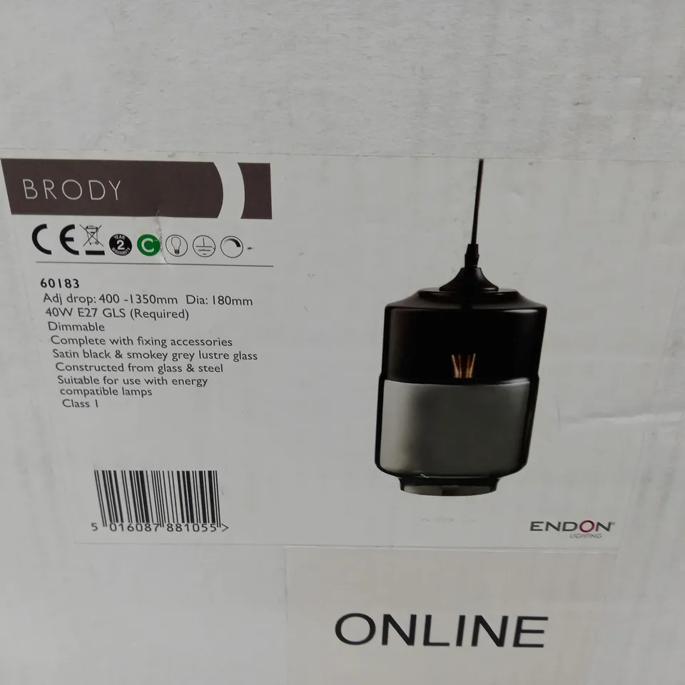 BOXED ENDON BRODY 1-LIGHT MINI PENDANT