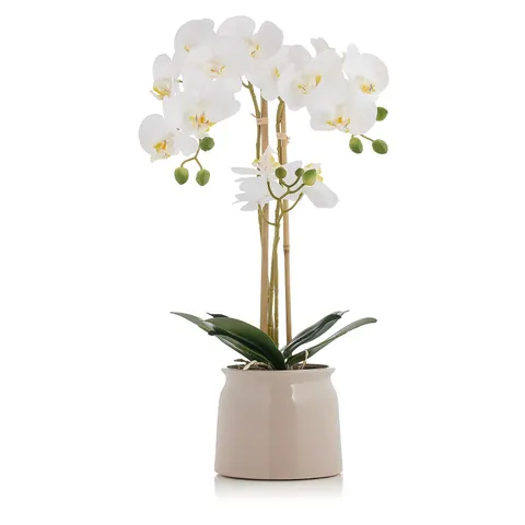 OTTERS BROOK 56CM 3 STEM REAL TOUCH WHITE ORCHID IN POT