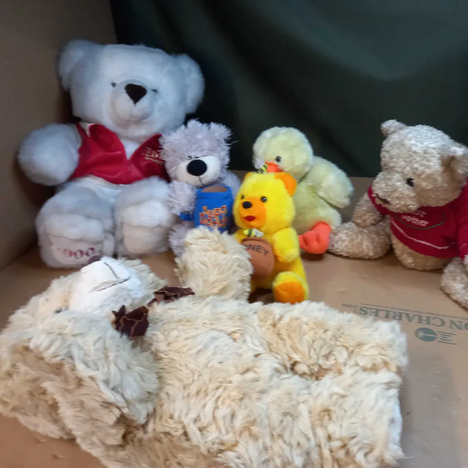 BOX OF ASSORTED TEDDY BEARS