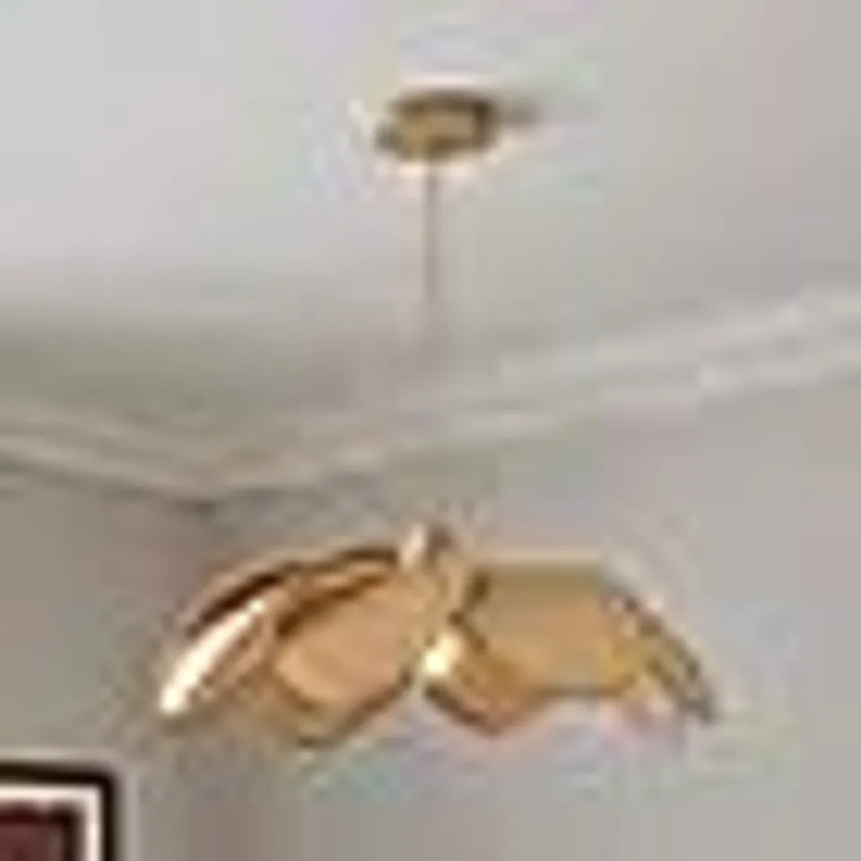 BOXED PETAL ADJUSTABLE PENDANT LIGHT